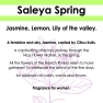 saleya-spring-pyramide-en-v2.jpg