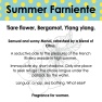 summer-farniente-pyramide-en-v2.jpg